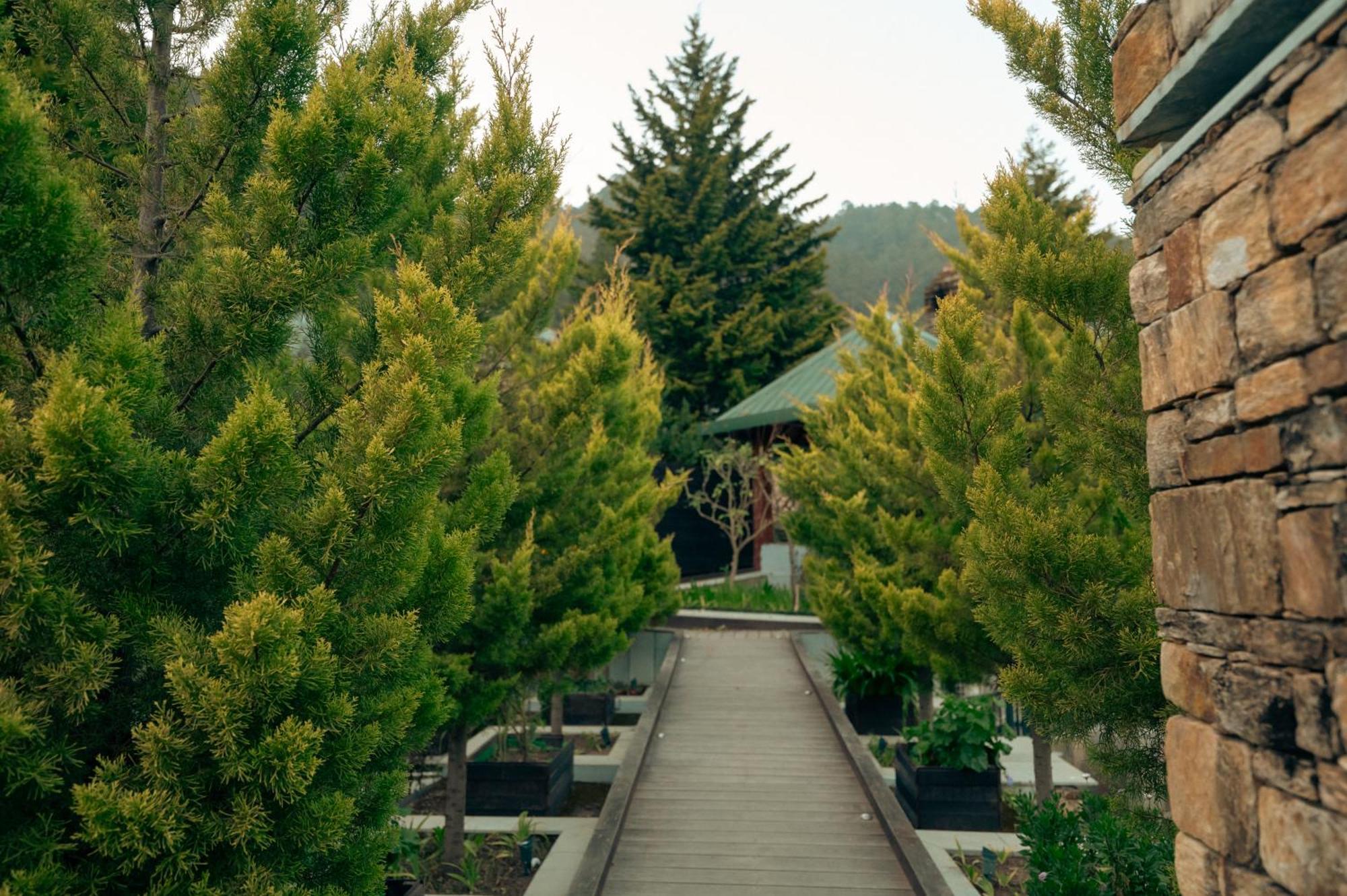 Brij Atmanya Bhowali, Nainital, A Luxury Mountain Escape المظهر الخارجي الصورة